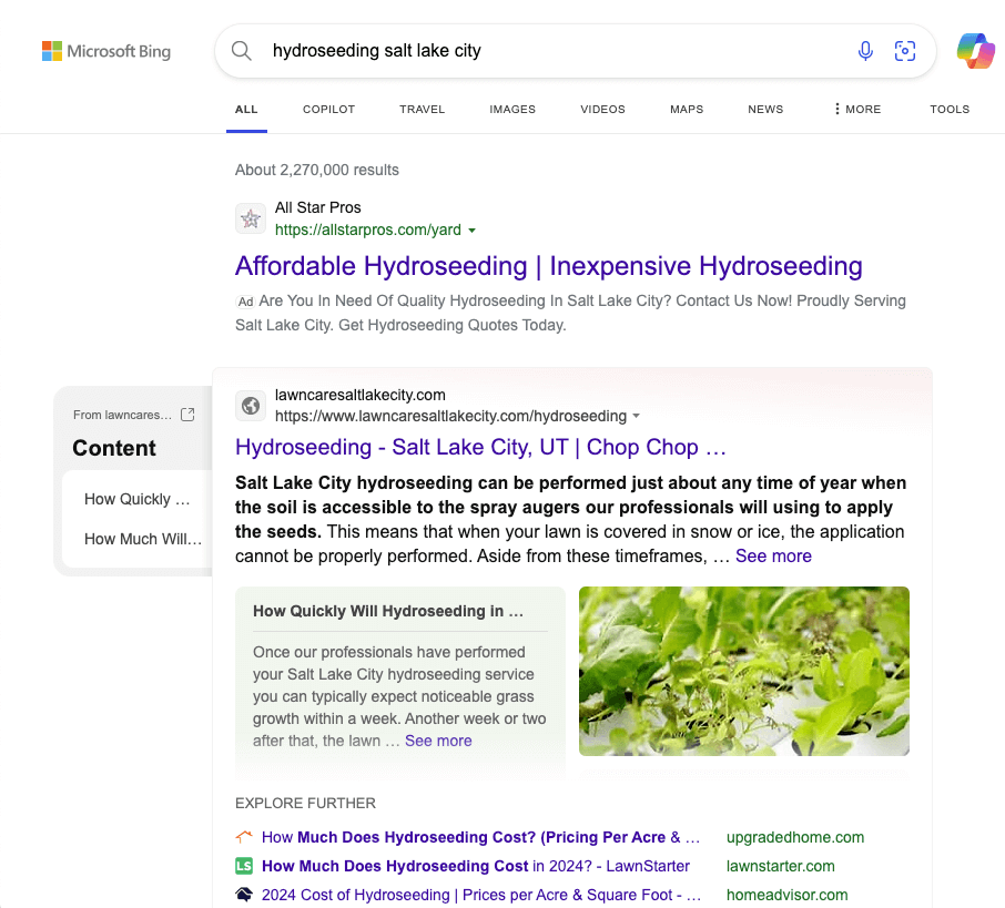 example of bing search results for landscaping