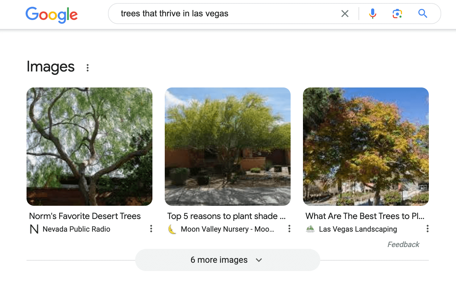 showing the Google search results image pack as an opportunity for landscaper seo